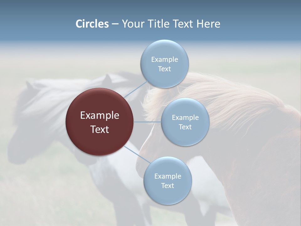 Horse Chestnut Three PowerPoint Template