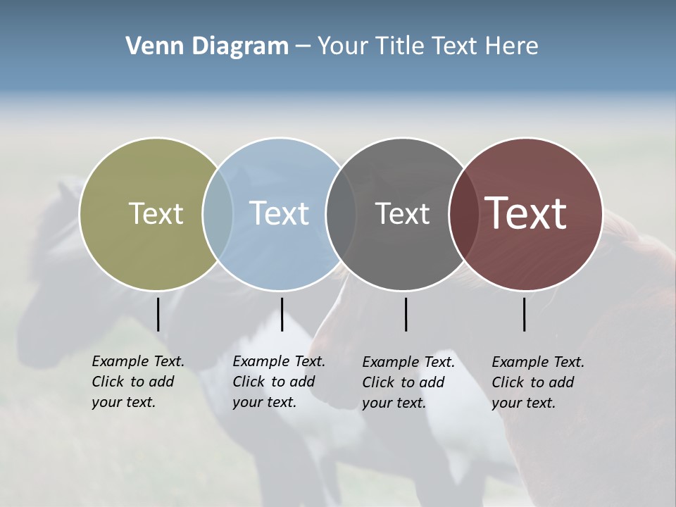 Horse Chestnut Three PowerPoint Template