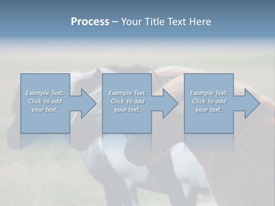 Horse Chestnut Three PowerPoint Template