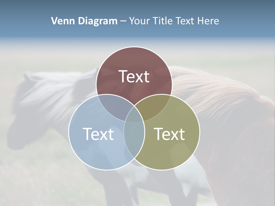 Horse Chestnut Three PowerPoint Template