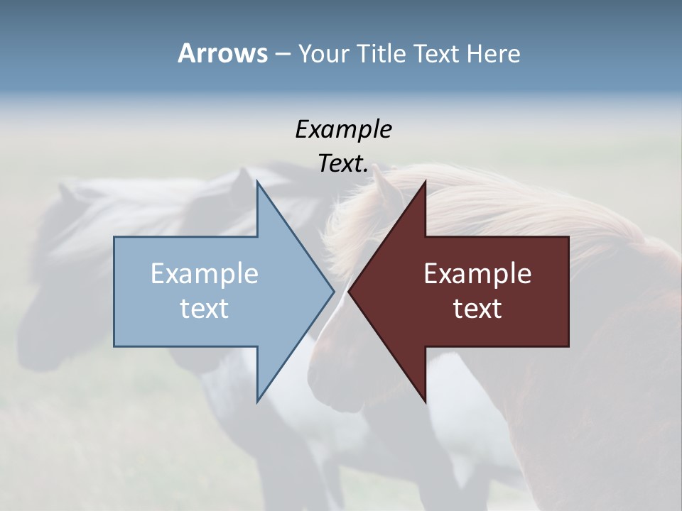 Horse Chestnut Three PowerPoint Template