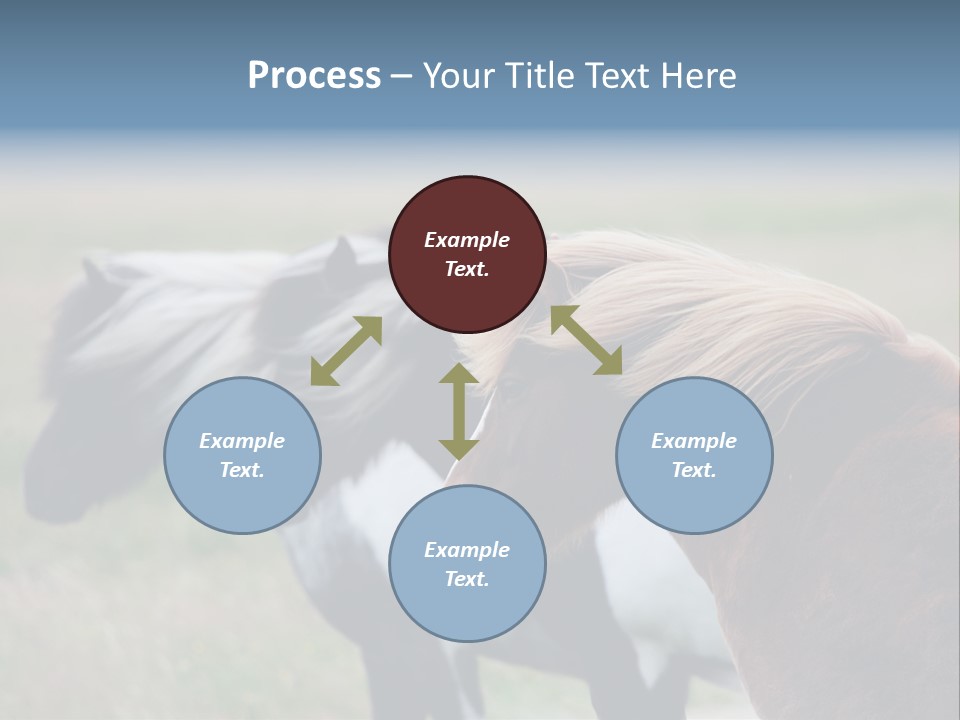 Horse Chestnut Three PowerPoint Template
