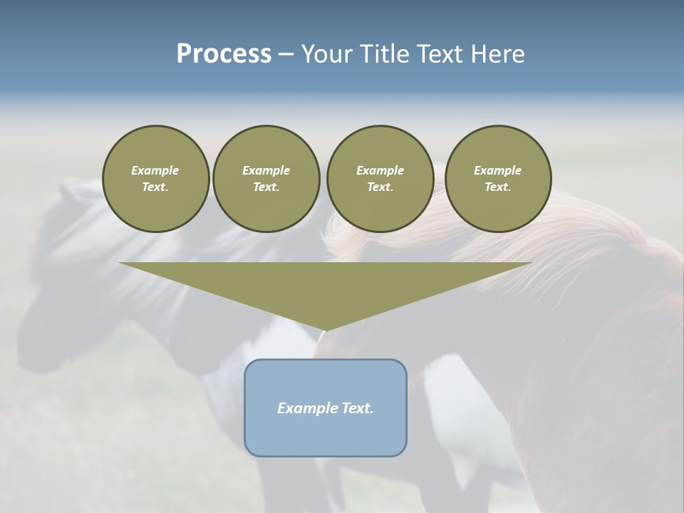 Horse Chestnut Three PowerPoint Template