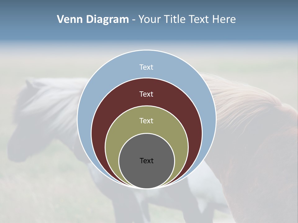 Horse Chestnut Three PowerPoint Template