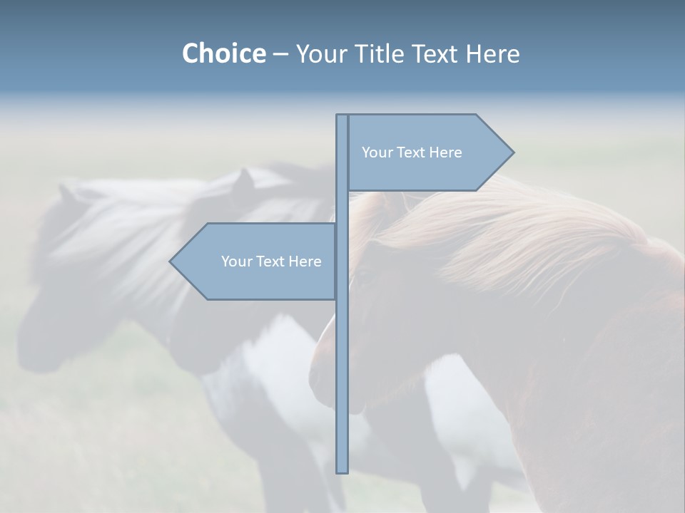 Horse Chestnut Three PowerPoint Template