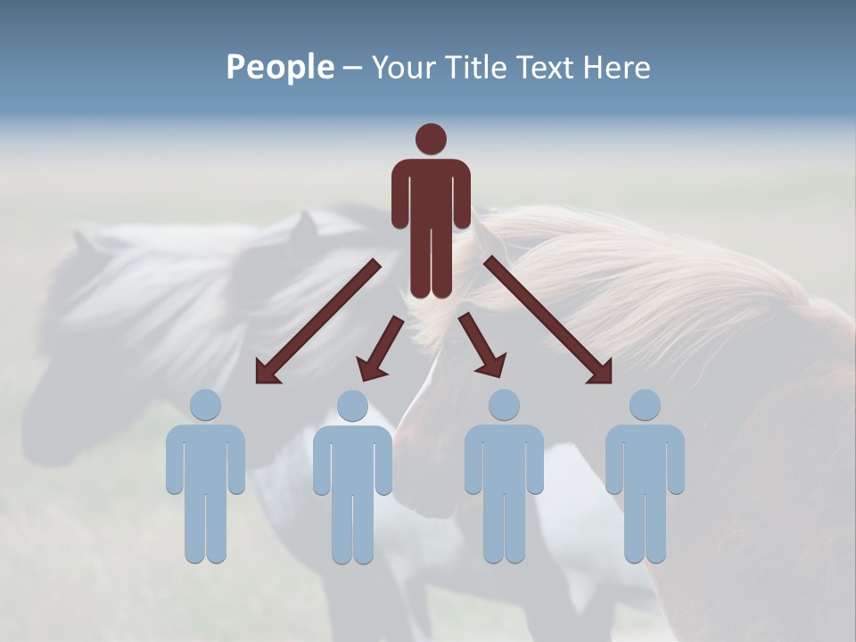 Horse Chestnut Three PowerPoint Template