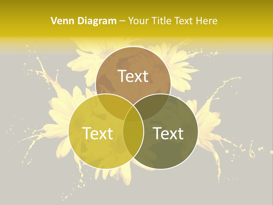 Flower Colorful Spring PowerPoint Template