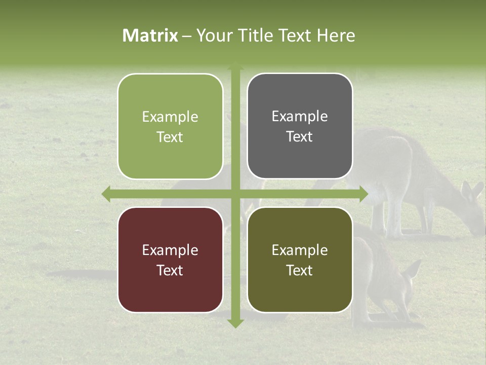 Wild Animal Eat Australian PowerPoint Template