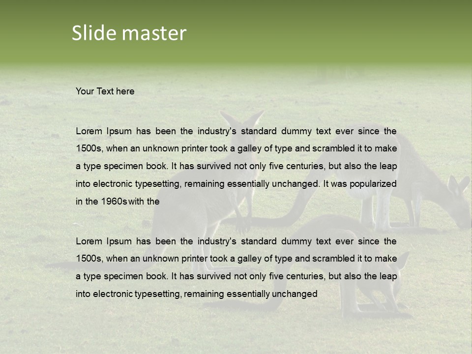 Wild Animal Eat Australian PowerPoint Template