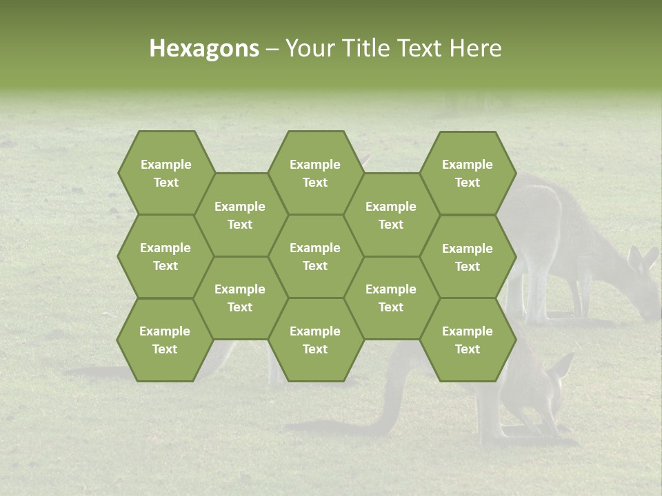 Wild Animal Eat Australian PowerPoint Template