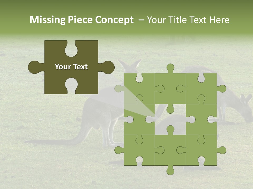 Wild Animal Eat Australian PowerPoint Template