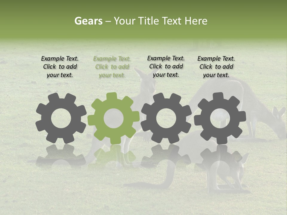 Wild Animal Eat Australian PowerPoint Template