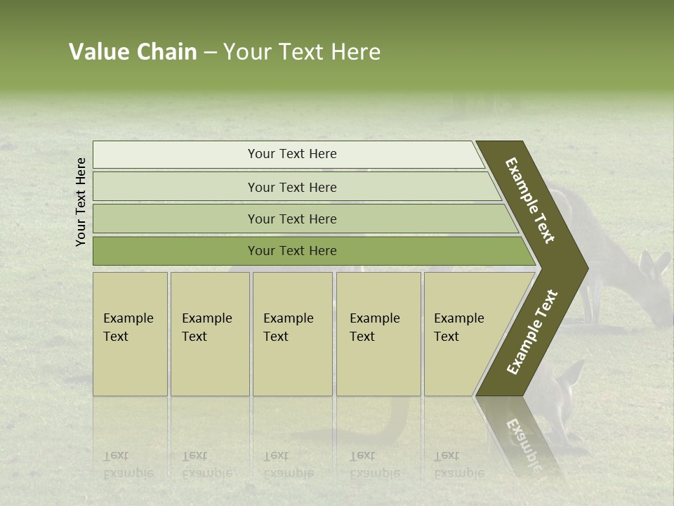 Wild Animal Eat Australian PowerPoint Template