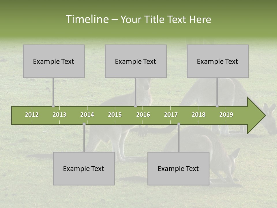 Wild Animal Eat Australian PowerPoint Template