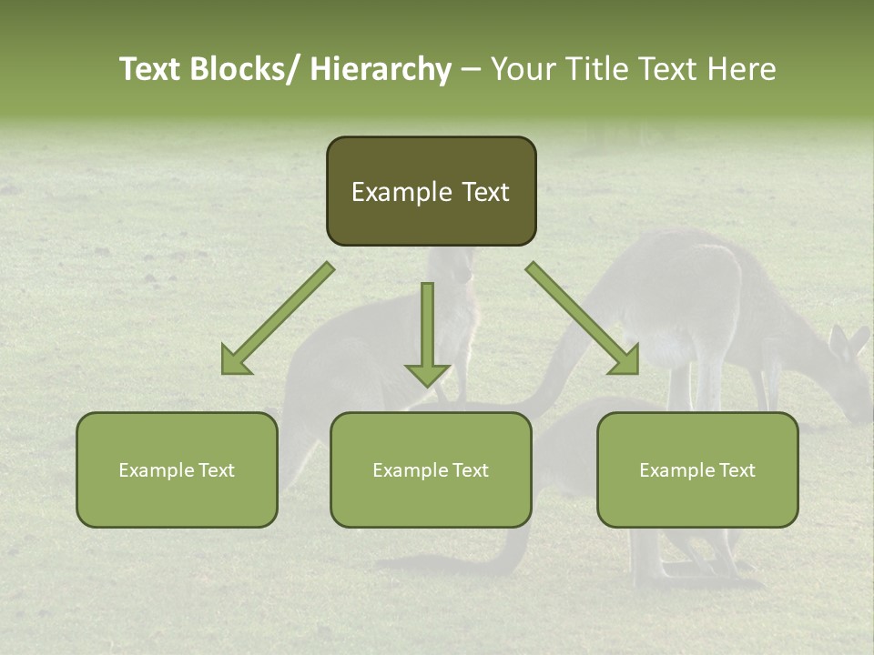 Wild Animal Eat Australian PowerPoint Template