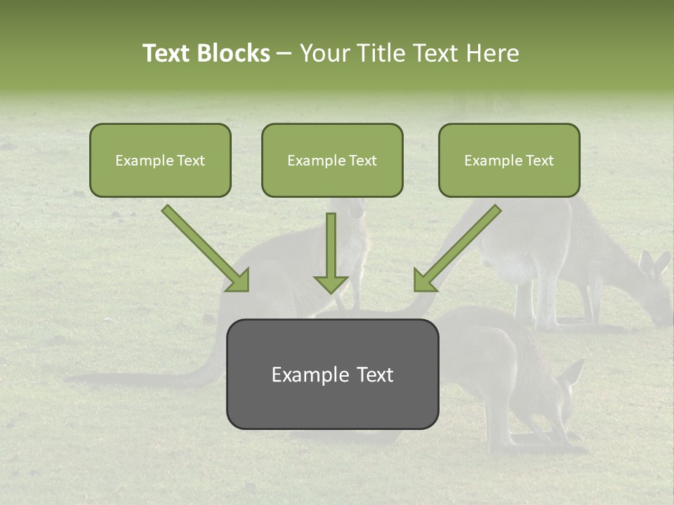 Wild Animal Eat Australian PowerPoint Template