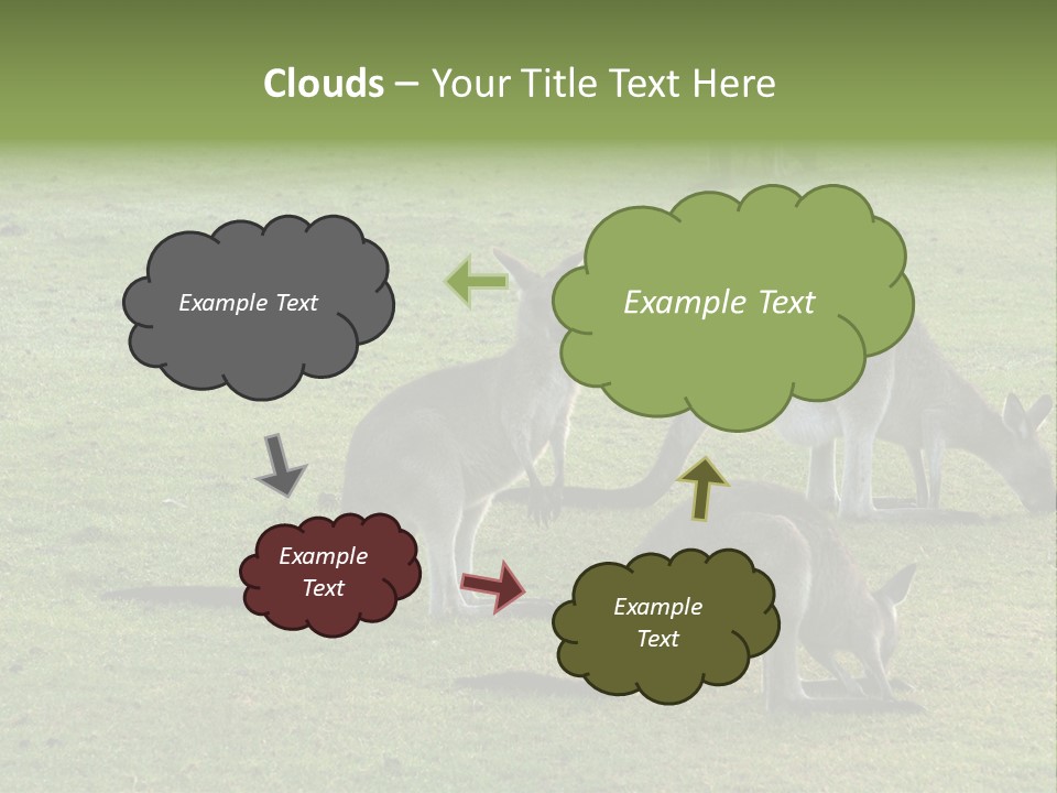 Wild Animal Eat Australian PowerPoint Template