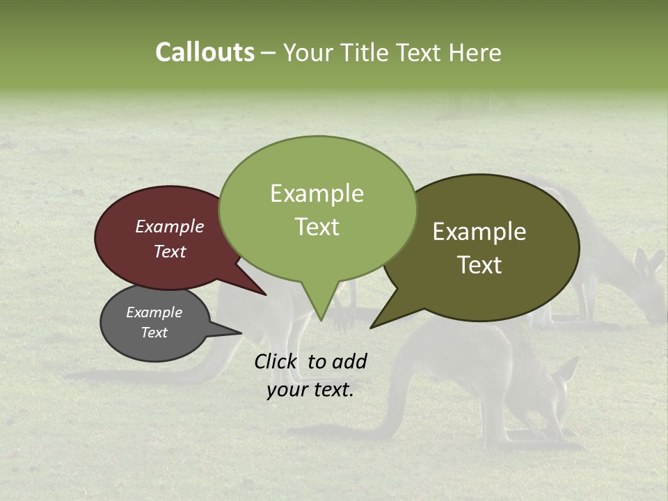 Wild Animal Eat Australian PowerPoint Template