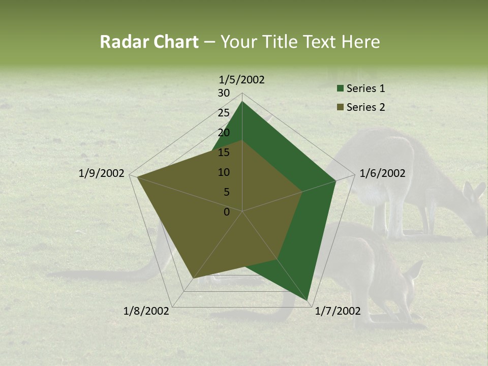 Wild Animal Eat Australian PowerPoint Template