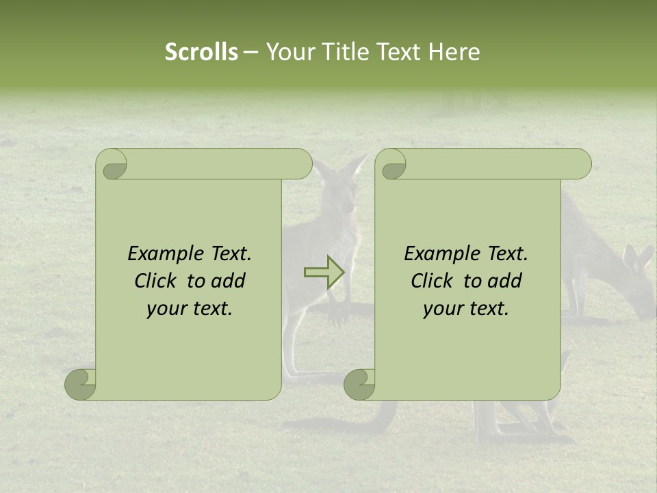 Wild Animal Eat Australian PowerPoint Template