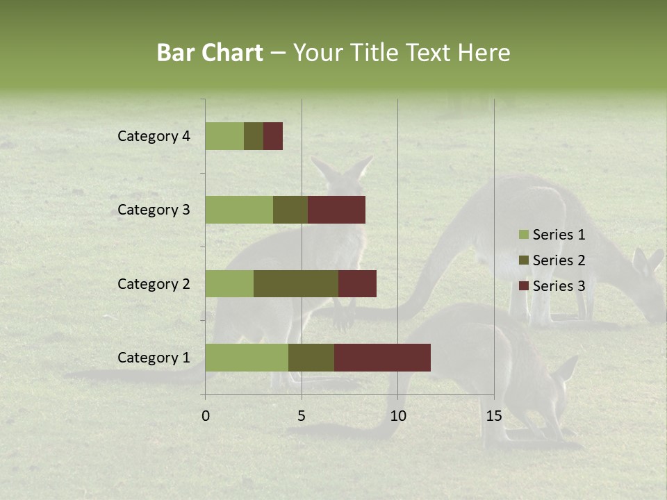 Wild Animal Eat Australian PowerPoint Template