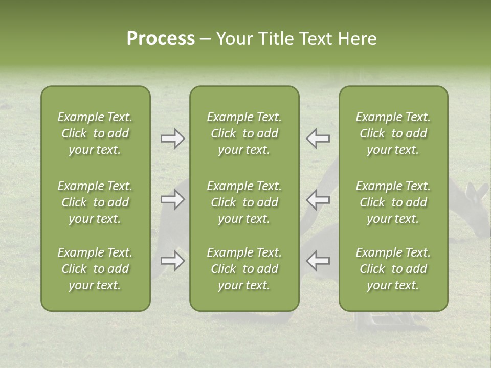 Wild Animal Eat Australian PowerPoint Template
