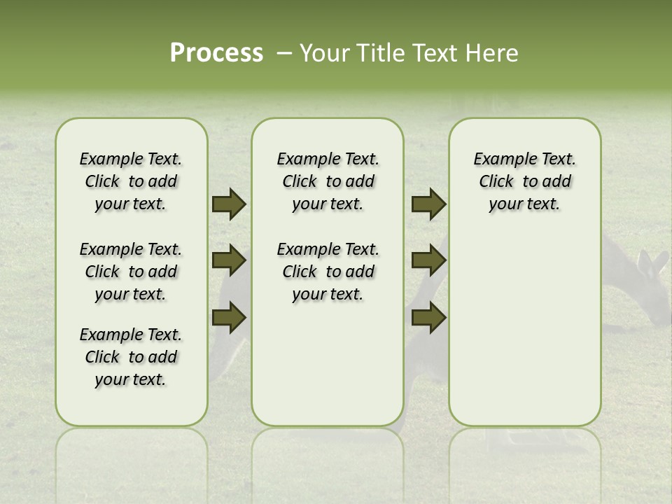 Wild Animal Eat Australian PowerPoint Template
