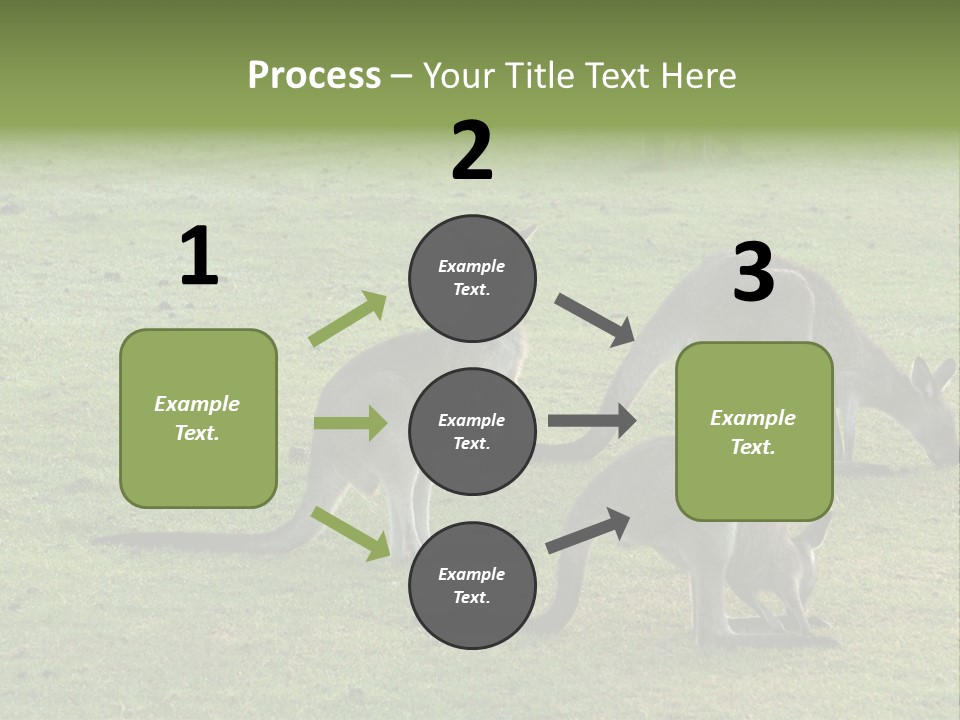 Wild Animal Eat Australian PowerPoint Template