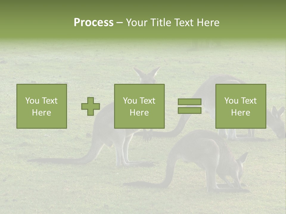 Wild Animal Eat Australian PowerPoint Template