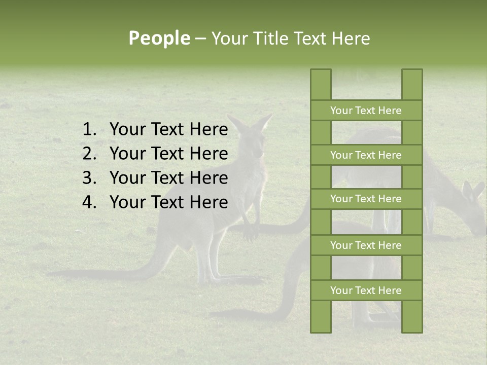 Wild Animal Eat Australian PowerPoint Template