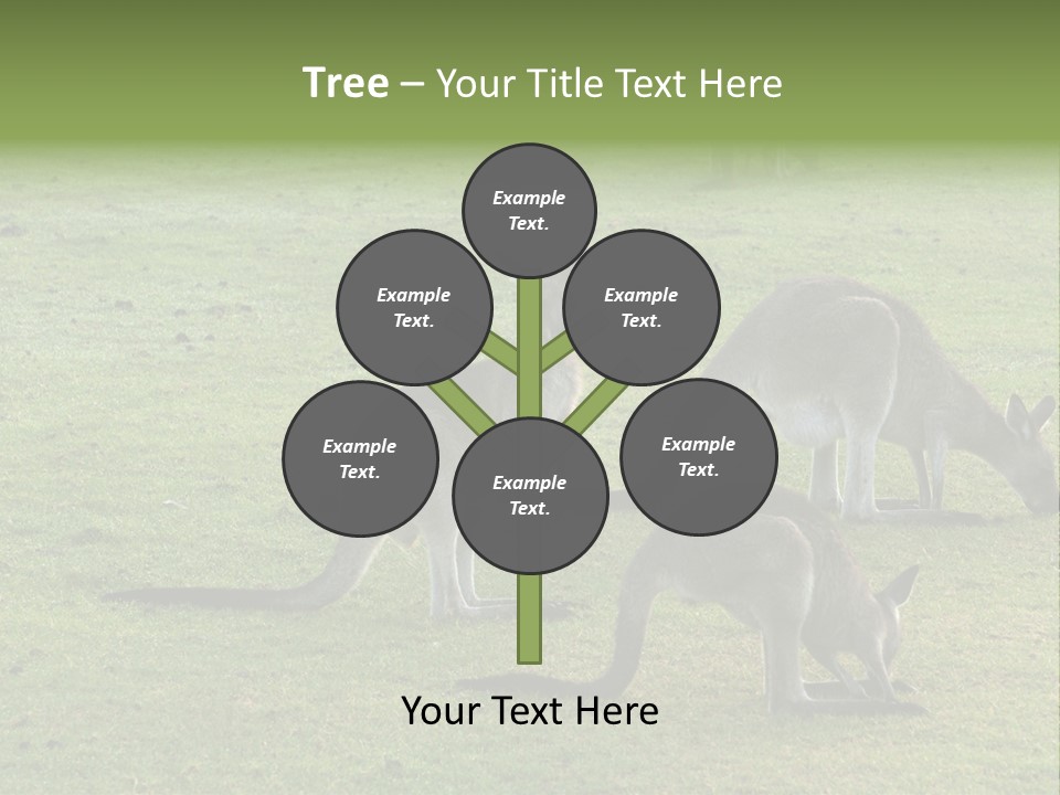 Wild Animal Eat Australian PowerPoint Template