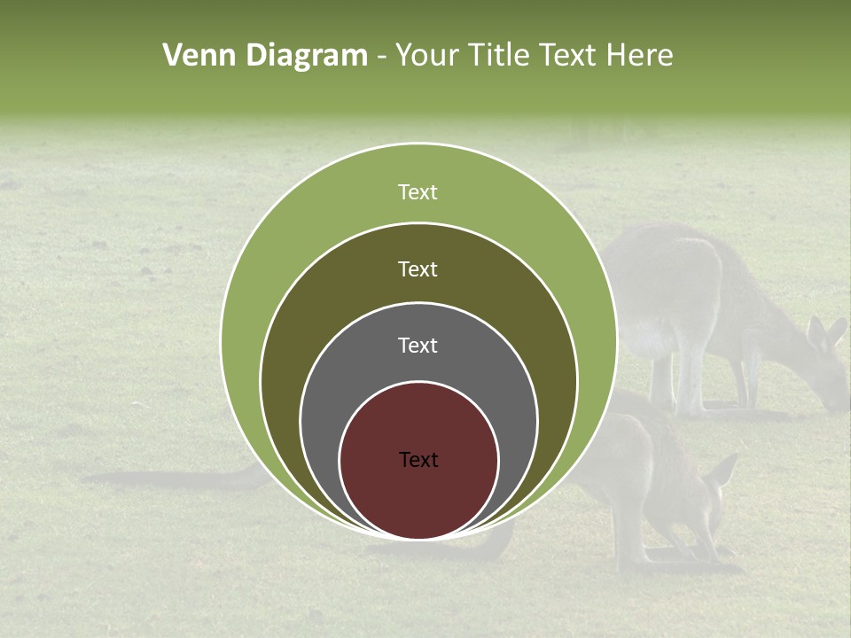 Wild Animal Eat Australian PowerPoint Template