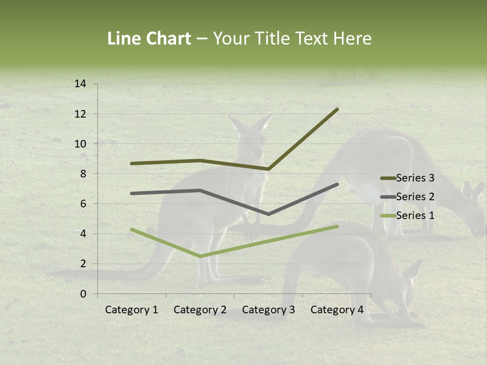 Wild Animal Eat Australian PowerPoint Template