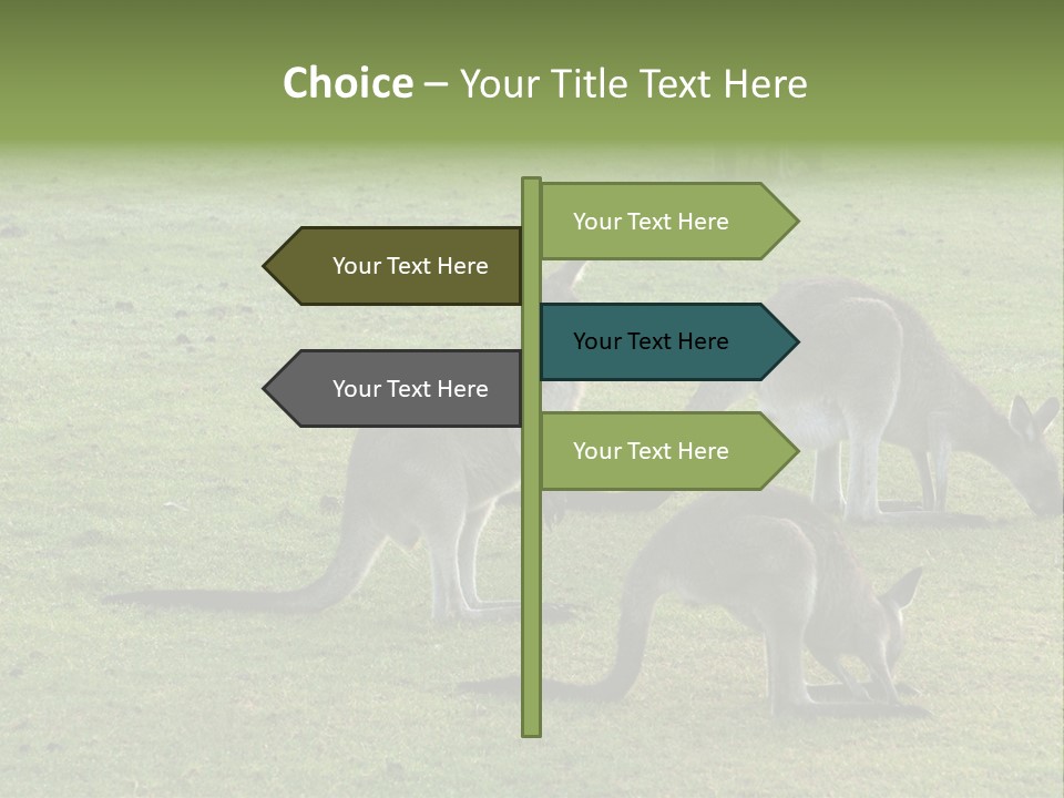 Wild Animal Eat Australian PowerPoint Template