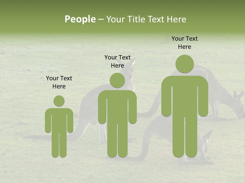 Wild Animal Eat Australian PowerPoint Template