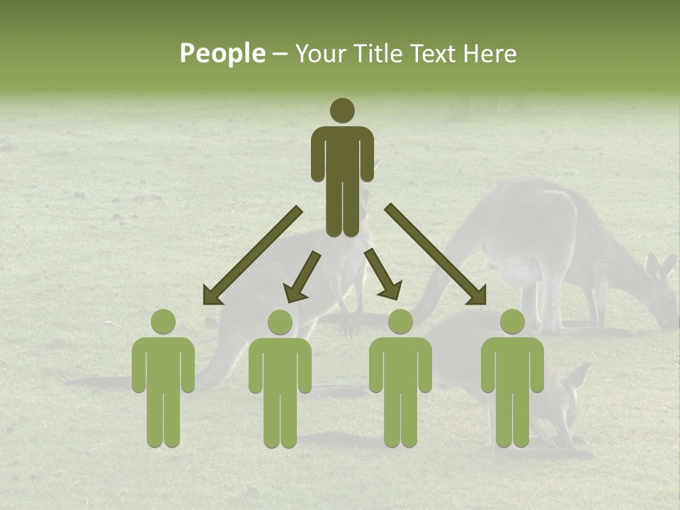 Wild Animal Eat Australian PowerPoint Template