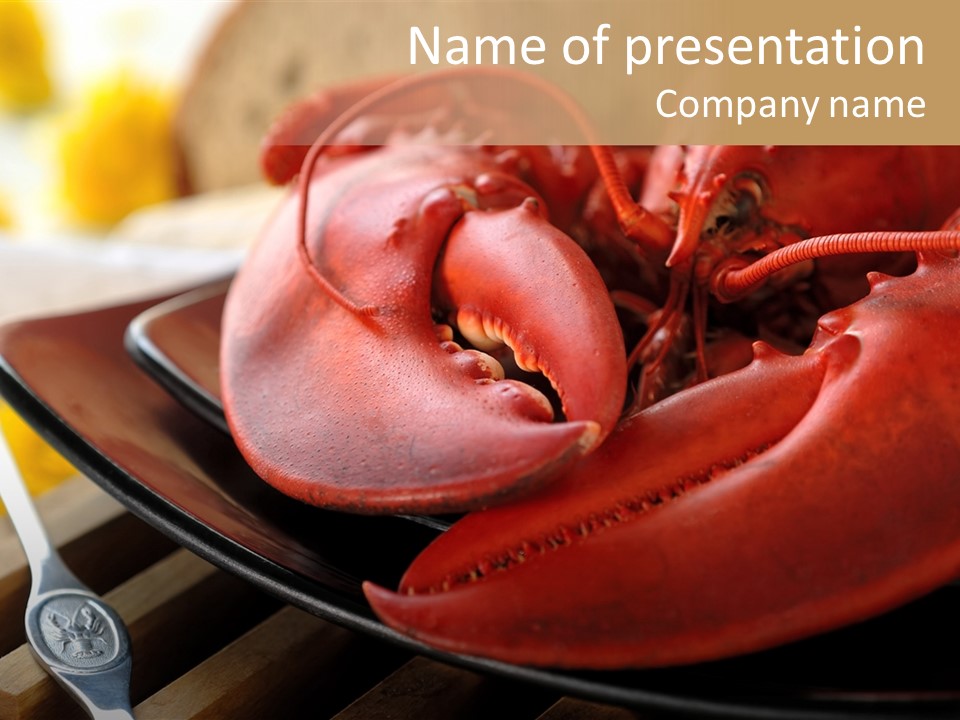 Antenna Lobster Fish PowerPoint Template