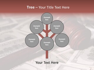 Decide Settlement Sue PowerPoint Template