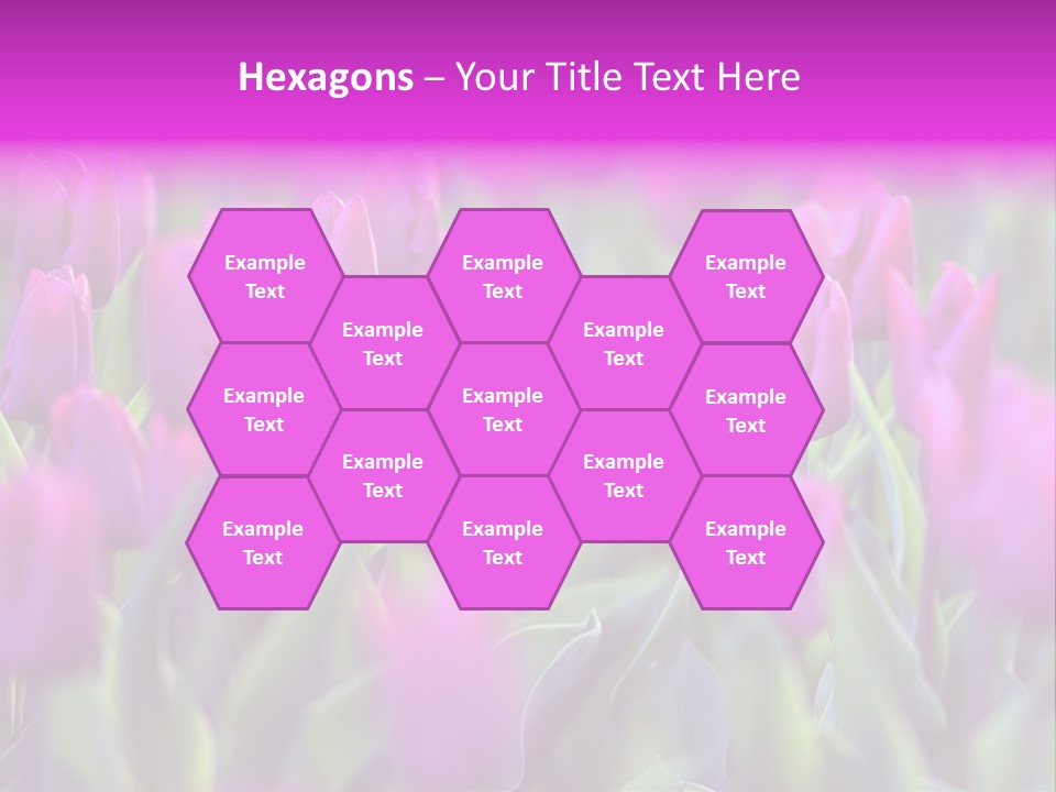 Trumpet Simplicity Romantic PowerPoint Template