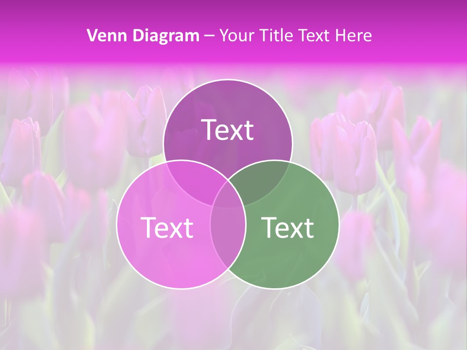 Trumpet Simplicity Romantic PowerPoint Template