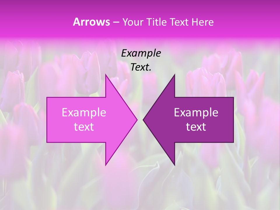 Trumpet Simplicity Romantic PowerPoint Template