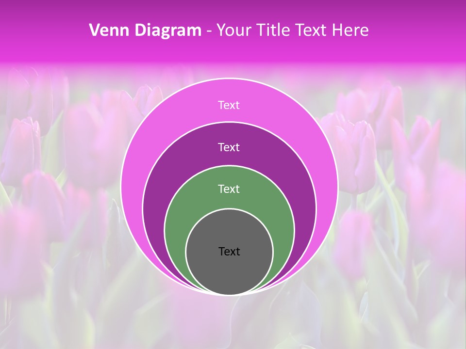 Trumpet Simplicity Romantic PowerPoint Template