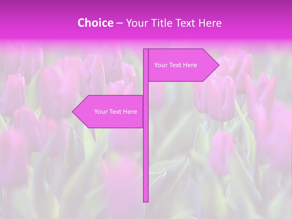 Trumpet Simplicity Romantic PowerPoint Template