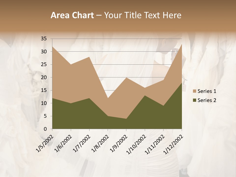 Clothing Fashion One Person PowerPoint Template