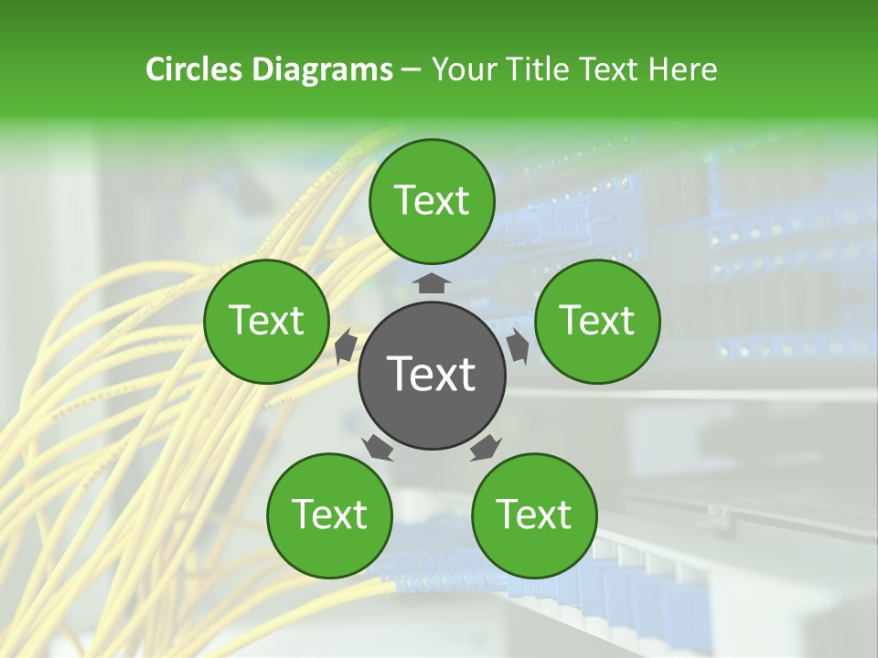 Cat Blue Ethernet PowerPoint Template