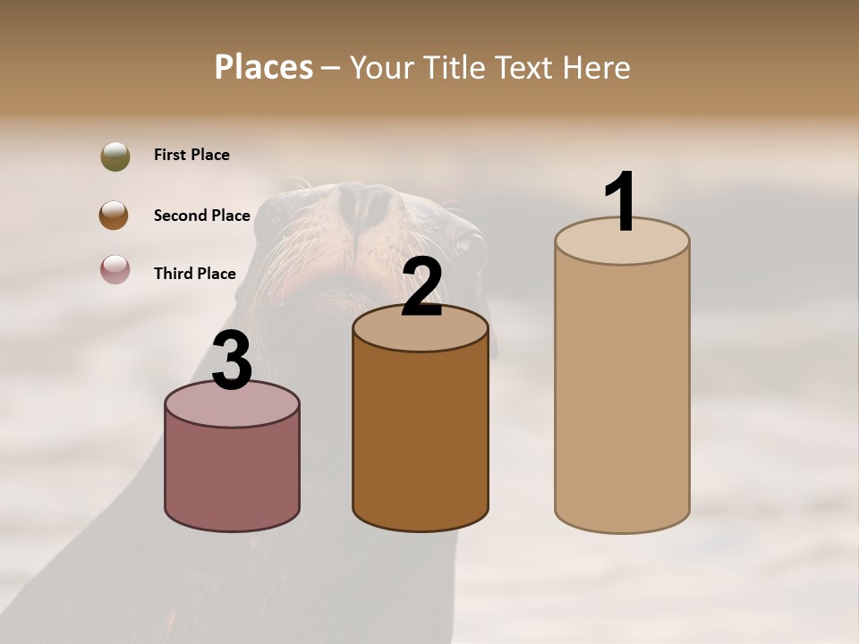 Detail Carnivore Zoo PowerPoint Template