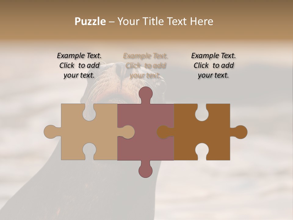 Detail Carnivore Zoo PowerPoint Template