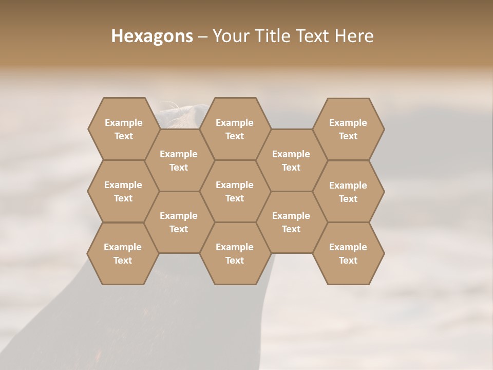 Detail Carnivore Zoo PowerPoint Template