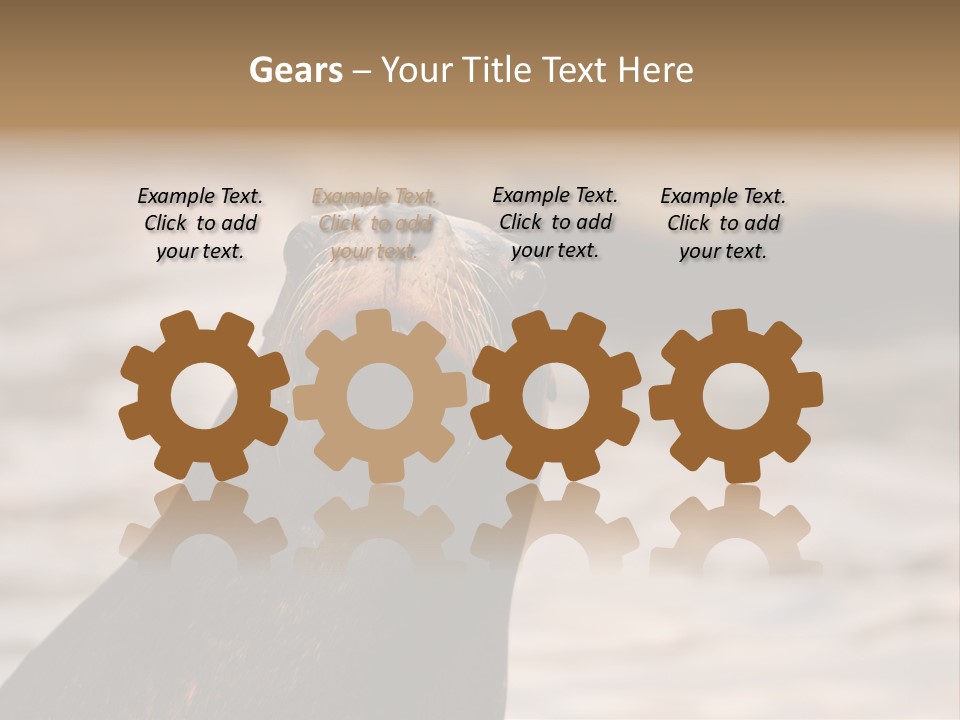 Detail Carnivore Zoo PowerPoint Template