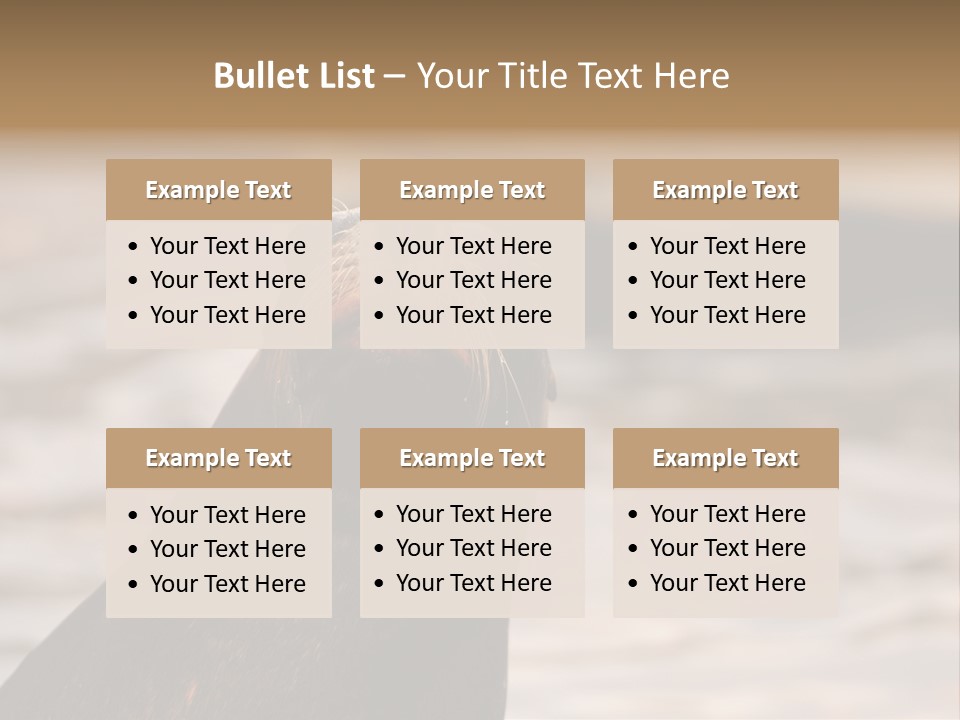 Detail Carnivore Zoo PowerPoint Template